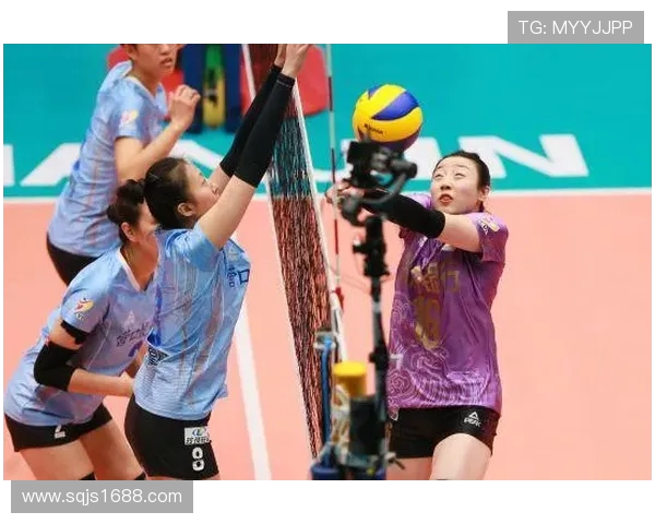 南京排球队实力对比深度解析与未来发展展望