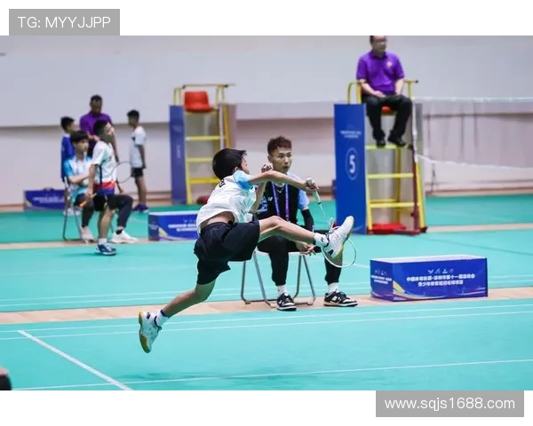 南京羽毛球队在全国羽毛球比赛经验排行榜中荣获第九名的荣耀时刻 南京羽毛球队在全国羽毛球比赛经验排行榜中荣获第九名的荣耀时刻