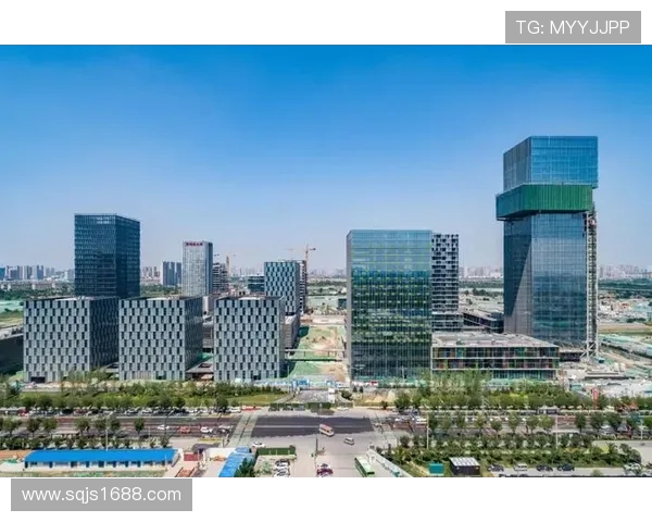 上海极限运动队的阵地战与城市运动文化的崛起探讨