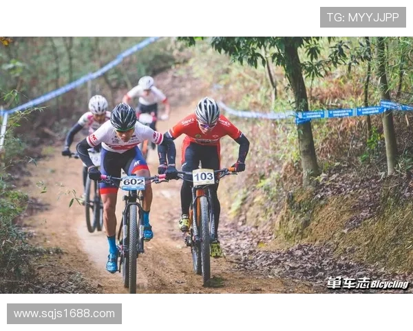 上海乒乓球队如何通过控制革新提升竞技水平与团队协作能力