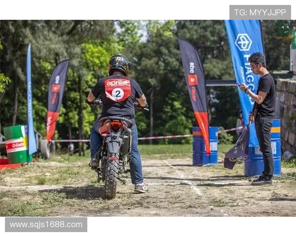 北京极限运动队团队协作的成功秘诀与挑战分析